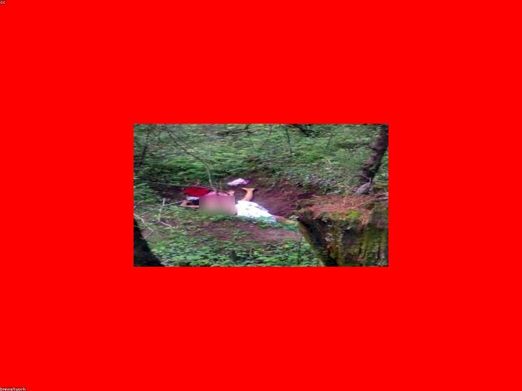 ការជ្រើសរើសមូលដ្ឋានគេហទំព័រ