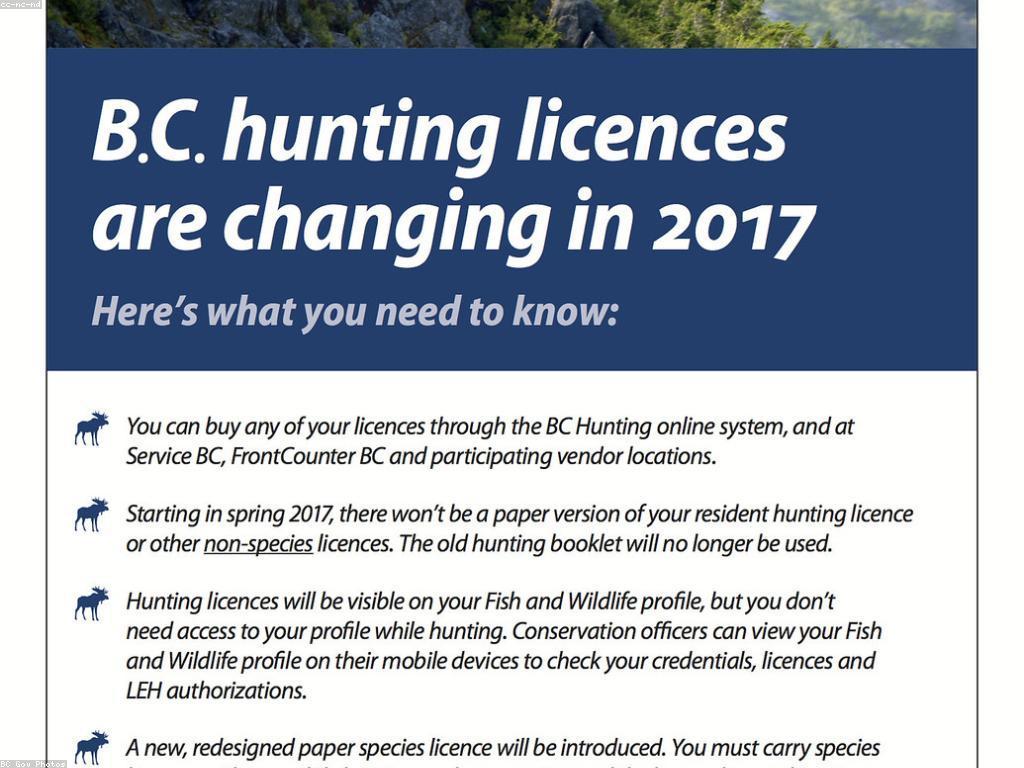 ការជ្រើសរើសជម្រើសគេហទំព័រ: មើលពីជម្រើសនានា